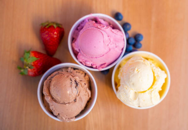 SINGLE SCOOP CUP