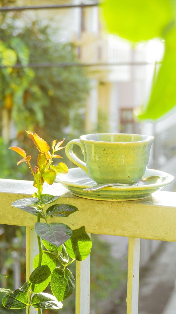 tea, cup, leaves, balcony, sunrise, cup of tea, tea green, tea cup, drinking tea, nature